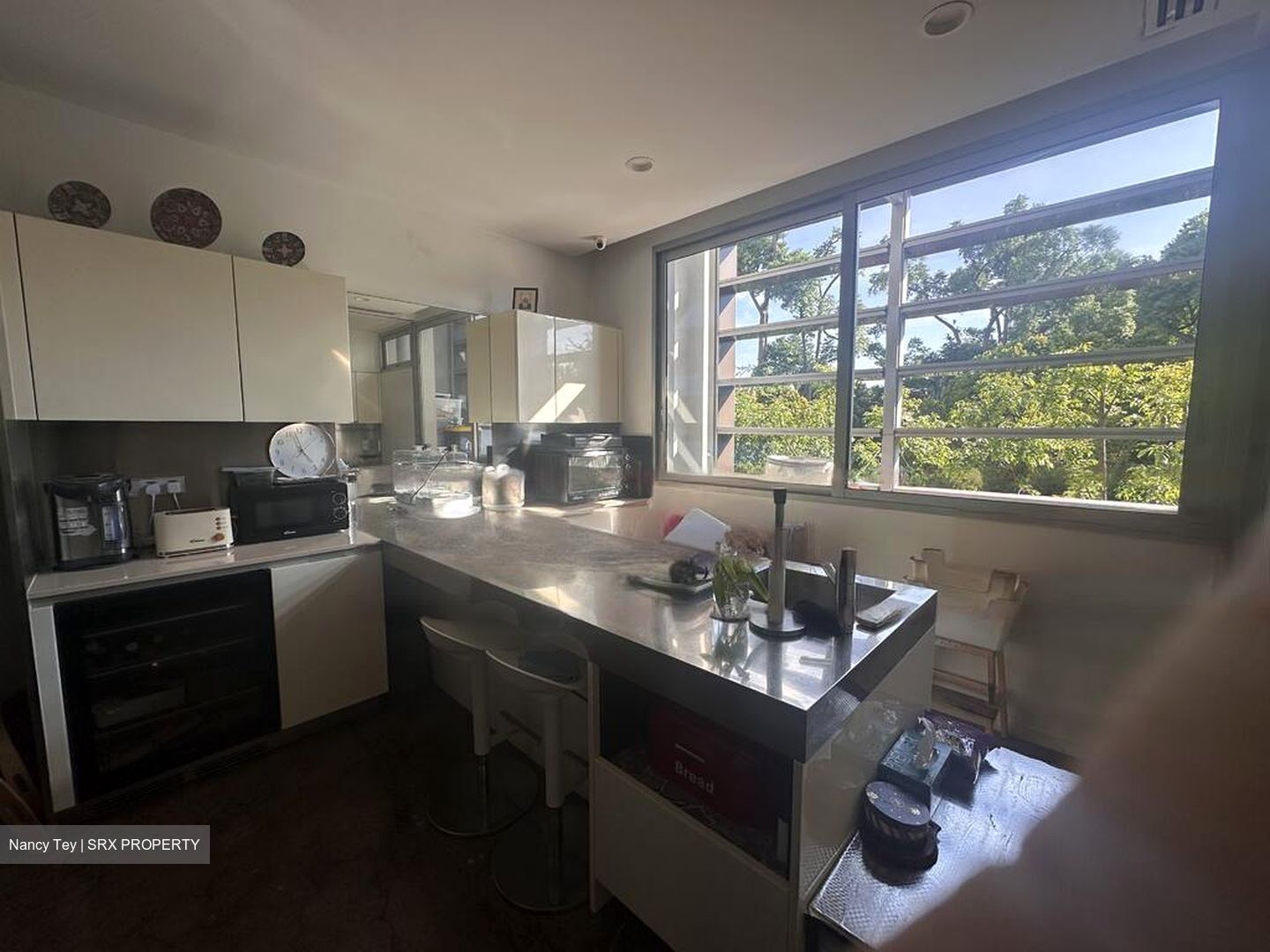 Nassim Park Residences (D10), Condominium #483368651